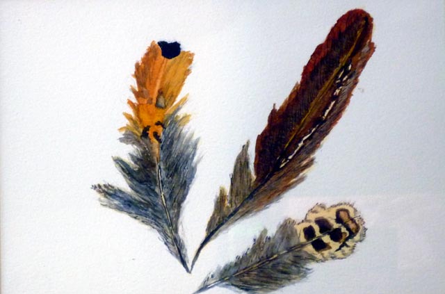 Manoir Du Hilguy. Watercolour, Feathers