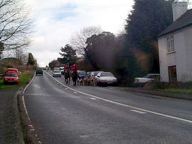 Hounds coming from Millbank