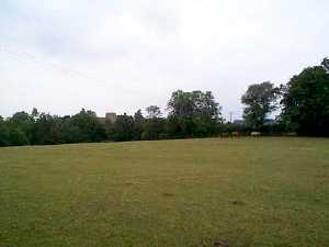 The field in July looking towards the Church