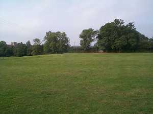 The field early Sep looking towards the Church