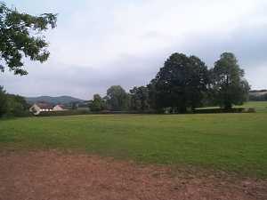 The field early Sep looking towards Bury Fields