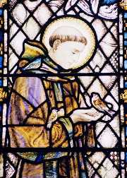 St Francis window in Cradley Church, by John D.