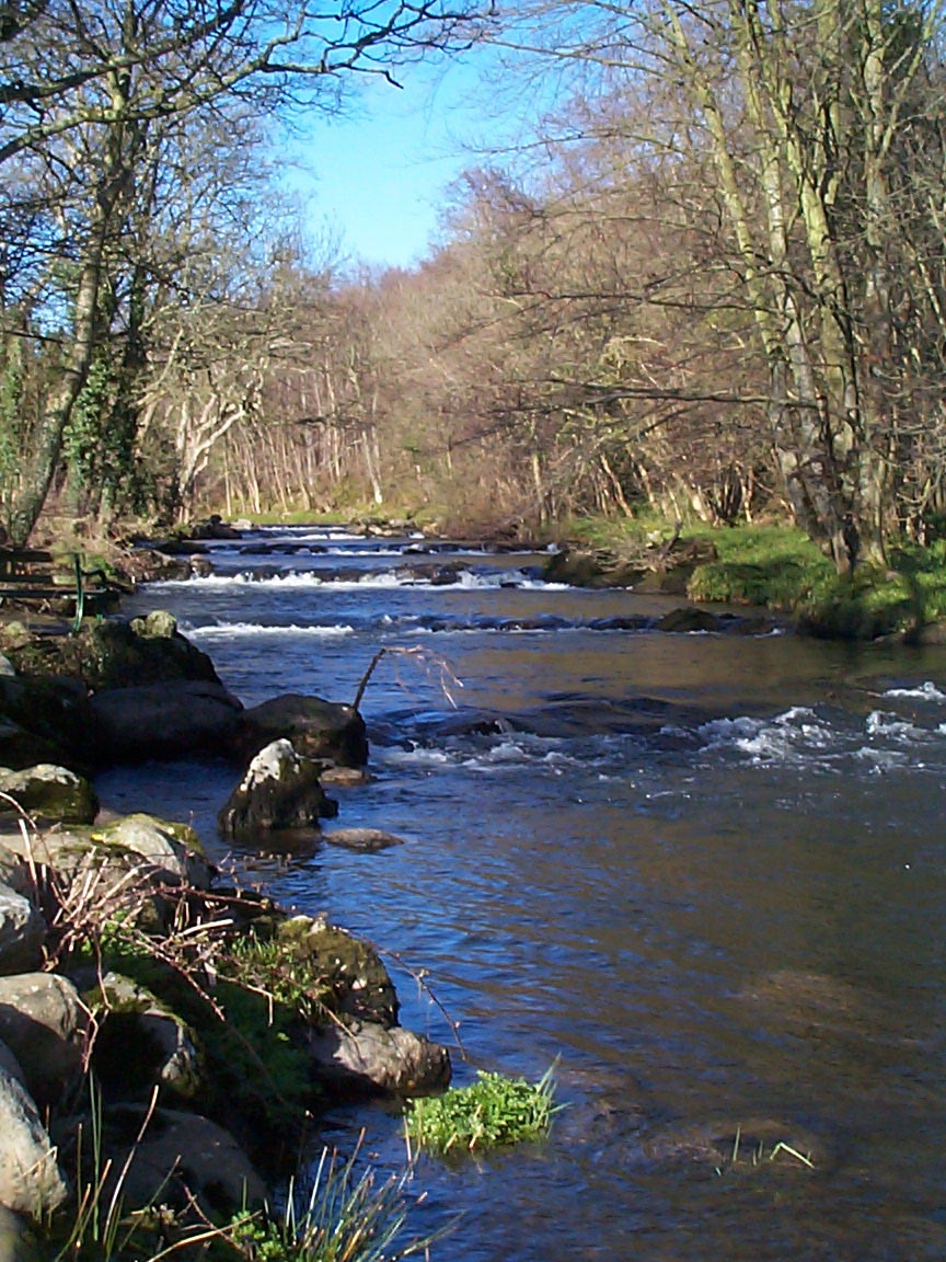 39 Up Seiont weirs, March