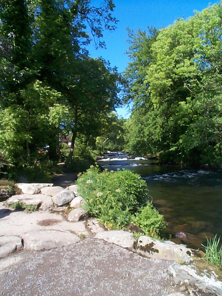 Up Seiont weirs, May